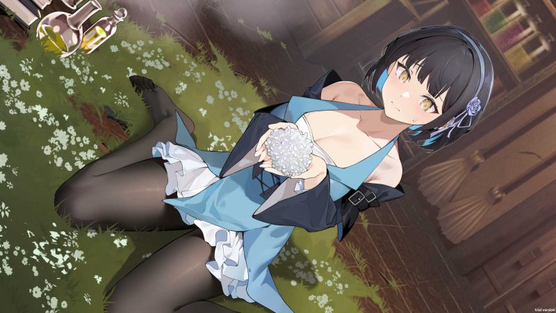 图片[5]-PC电脑 [SLG/动态]黄昏酒馆V1.1.5 步-次元总站