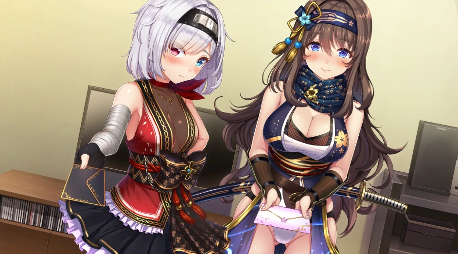 图片[10]-PC电脑 [ADV/动态/CV]女忍者同居生活1+2部 步-次元总站