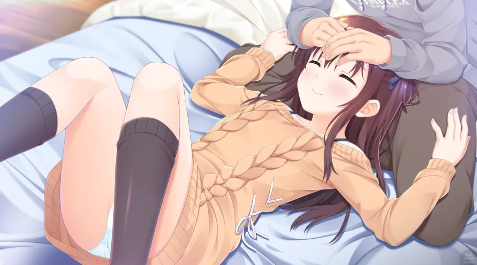 图片[5]-安卓+电脑 [ADV/妹妹/CV]哥哥，早上起床之前都要抱紧我哦！-次元总站