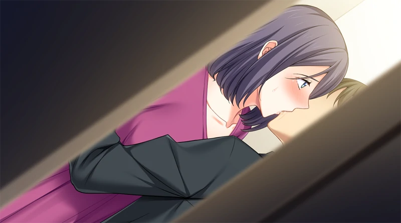 图片[3]-安卓+电脑 [ADV+CV]共享老婆美乃利 Ty模拟器玩-次元总站