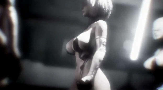 图片[1]-[视频]2B昔日荣光 步-次元总站