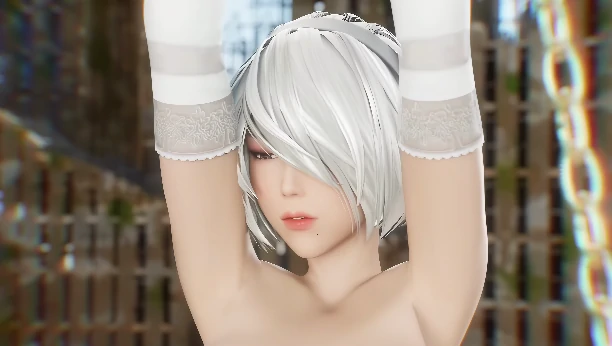 图片[5]-[视频]2B昔日荣光 步-次元总站