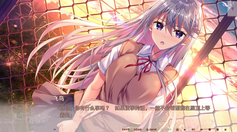 图片[2]-安卓+电脑 [ADV/全CV/纯爱]飞鸟会长不肯认输！Ty模拟器玩-次元总站