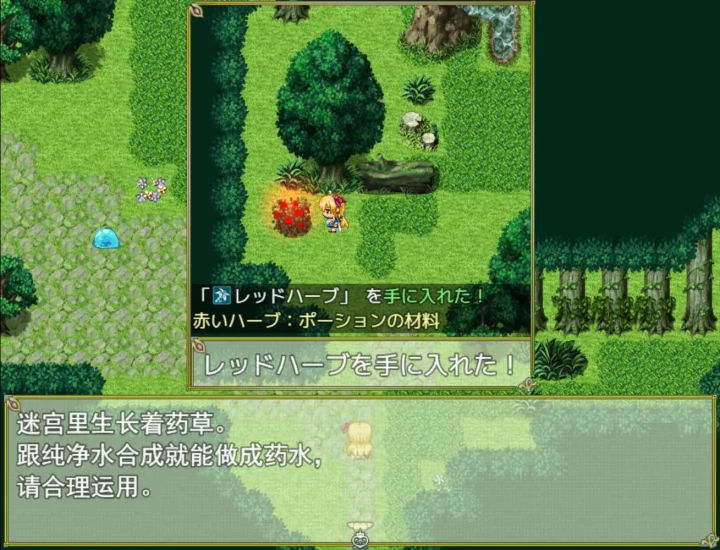 图片[6]-安卓+电脑 [精品RPG]公主养成计划-次元总站