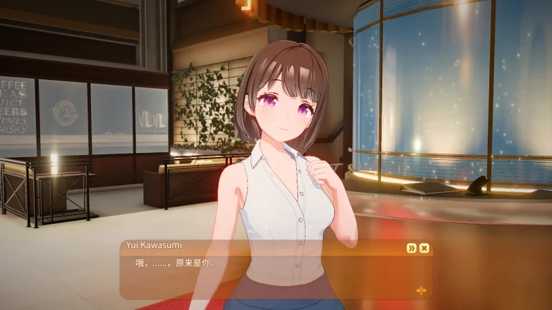 图片[6]-PC电脑 Honey Come（大作SLG+全动态]步整合版-次元总站