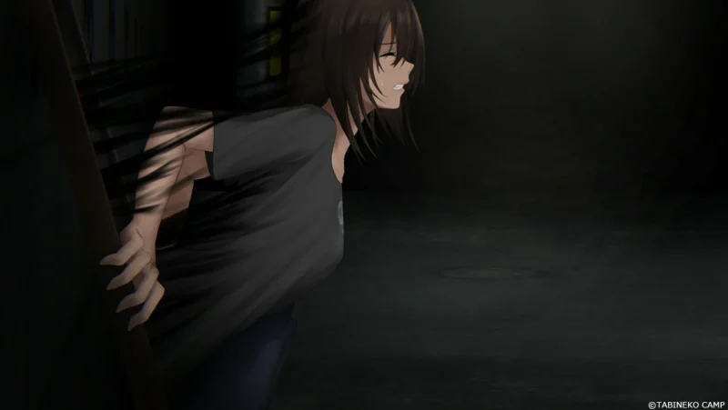 图片[2]-安卓+电脑 [SLG/露出/探索/微恐]归途累之夜 Joi模拟器玩-次元总站