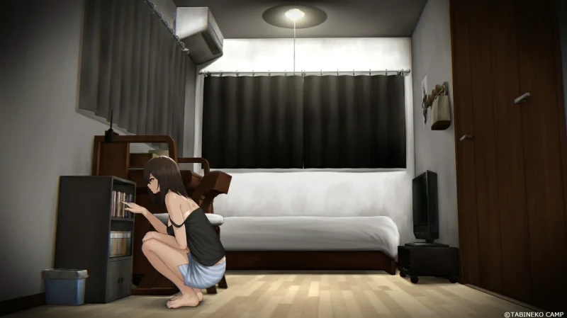 图片[3]-安卓+电脑 [SLG/露出/探索/微恐]归途累之夜 Joi模拟器玩-次元总站