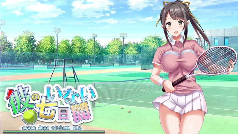 图片[4]-安卓+电脑【精品SLG/动态/调教】他不在的七天-次元总站