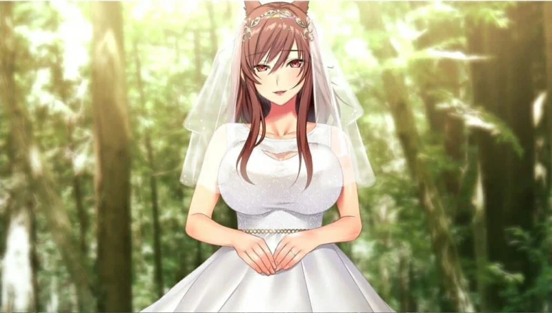 图片[9]-PC电脑 [ADV/CV/动态]妖魅系女友-次元总站