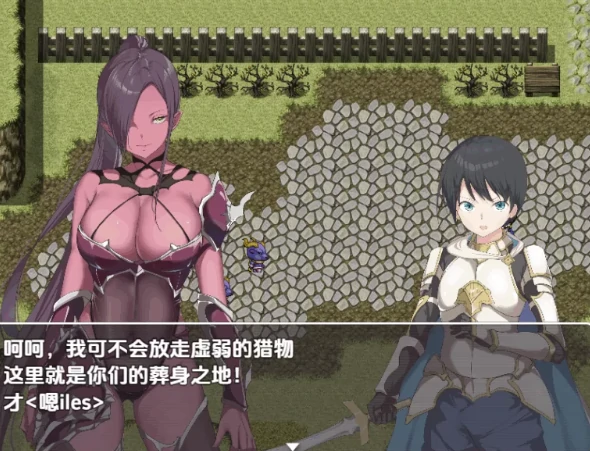 图片[1]-安卓+电脑【RPG/开大车/后宫】零容忍勇者～在拯救世界前与姐姐们达到高潮-次元总站