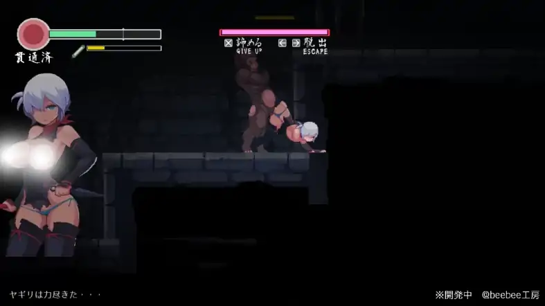 图片[2]-PC电脑版【生肉ACT/动态/像素/战斗H】忍者的冒险/復讐の夜霧Ver0.31-次元总站