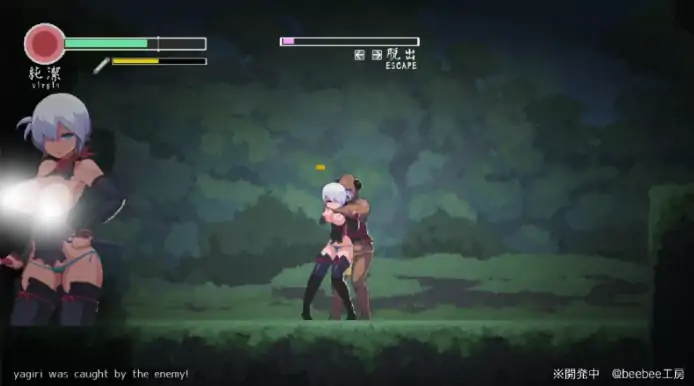 图片[1]-PC电脑版【生肉ACT/动态/像素/战斗H】忍者的冒险/復讐の夜霧Ver0.31-次元总站