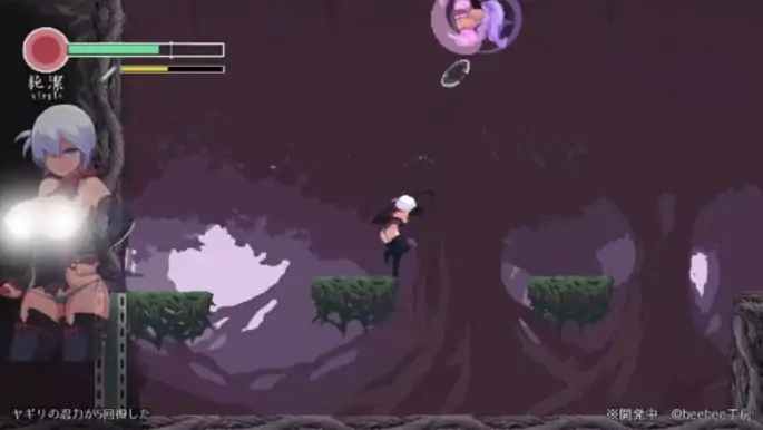 图片[4]-PC电脑版【生肉ACT/动态/像素/战斗H】忍者的冒险/復讐の夜霧Ver0.31-次元总站